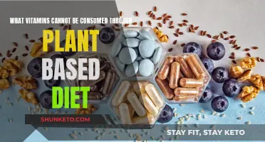 Vitamins Missing in Plant-Based Diets