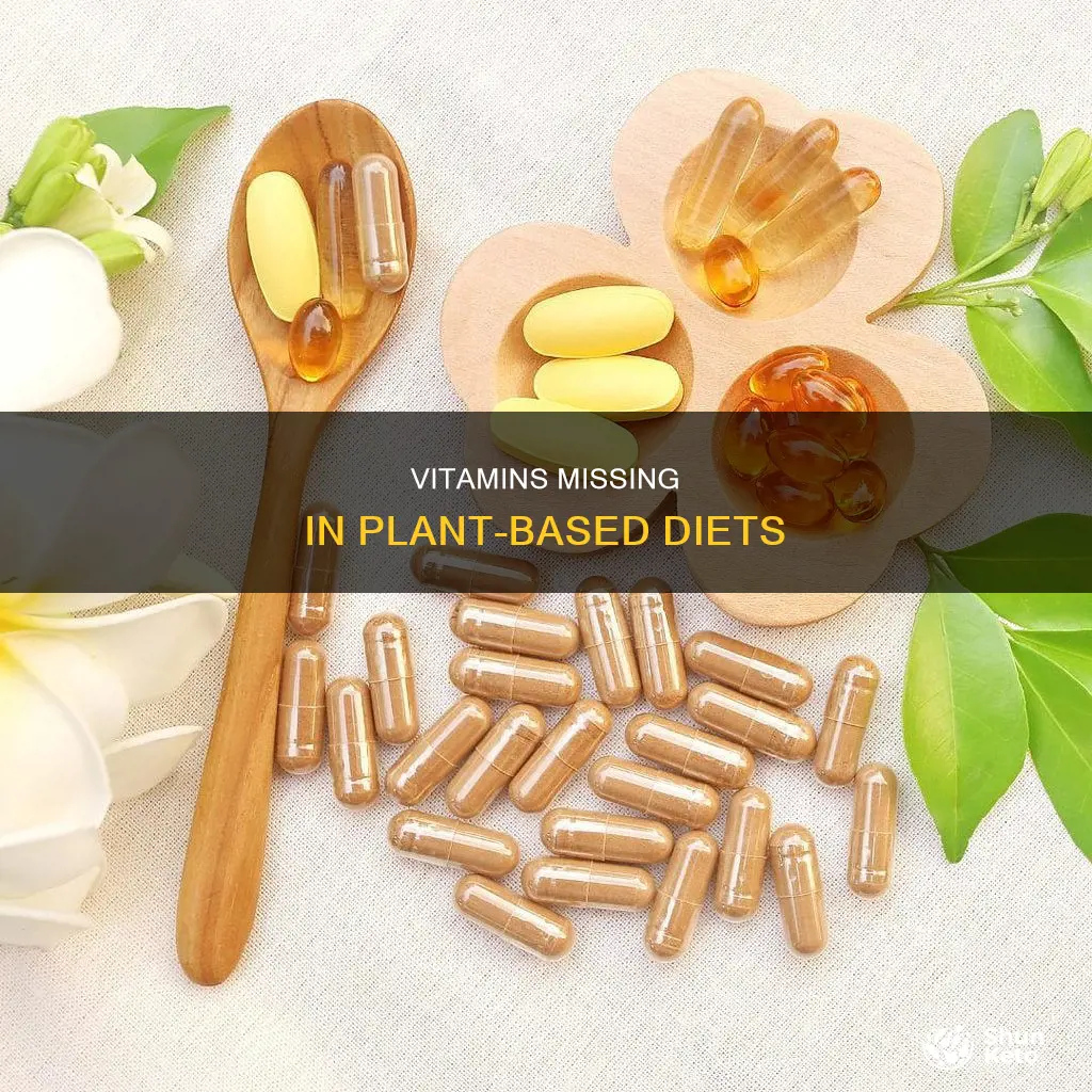 what vitamins cannot be consumed through plant based diet