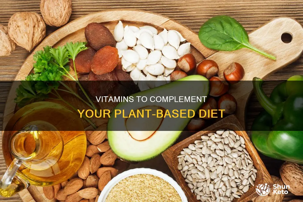 what vitamins should i take on a plant based diet