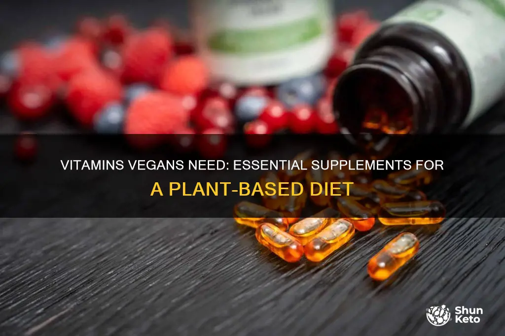 what vitamins should i take on a vegan diet