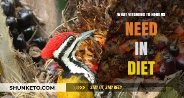 Herons' Dietary Needs: Essential Vitamins for Health