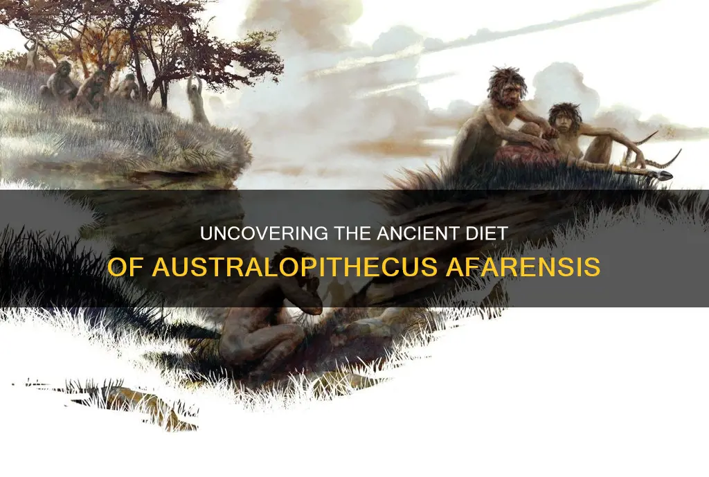 what was australopithecus afarensis diet like