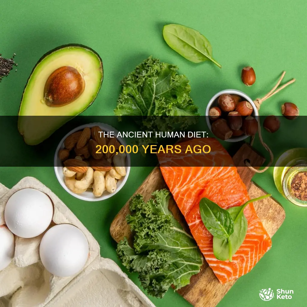 what was human kind diet 200000 yrs ago