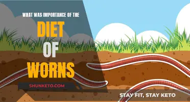 The Diet of Worms: A Turning Point in History