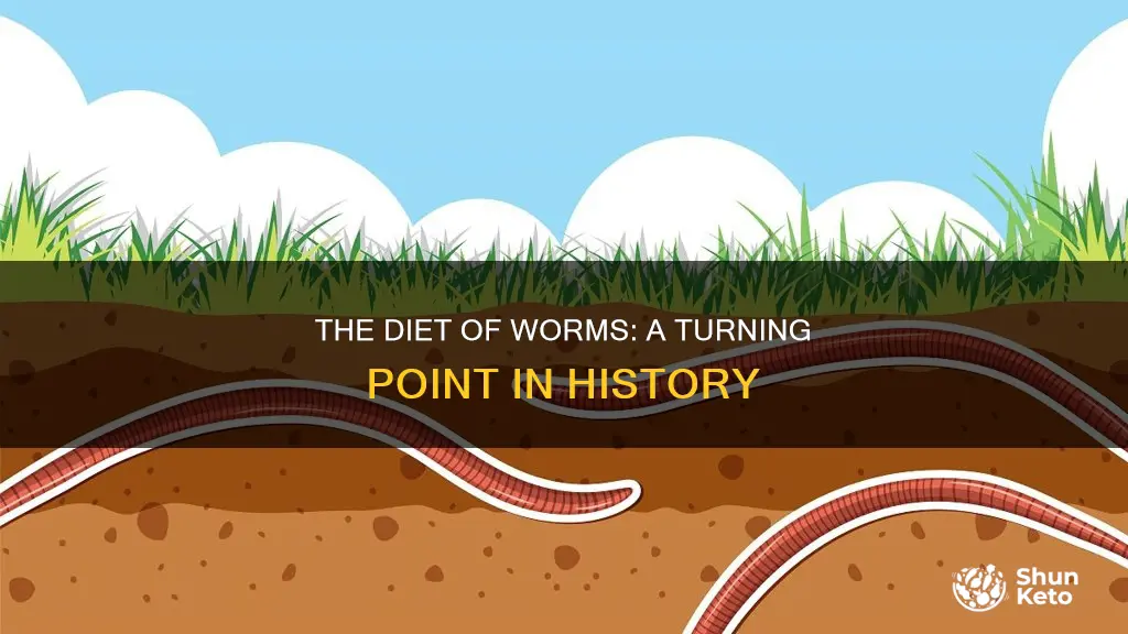what was importance of the diet of worns