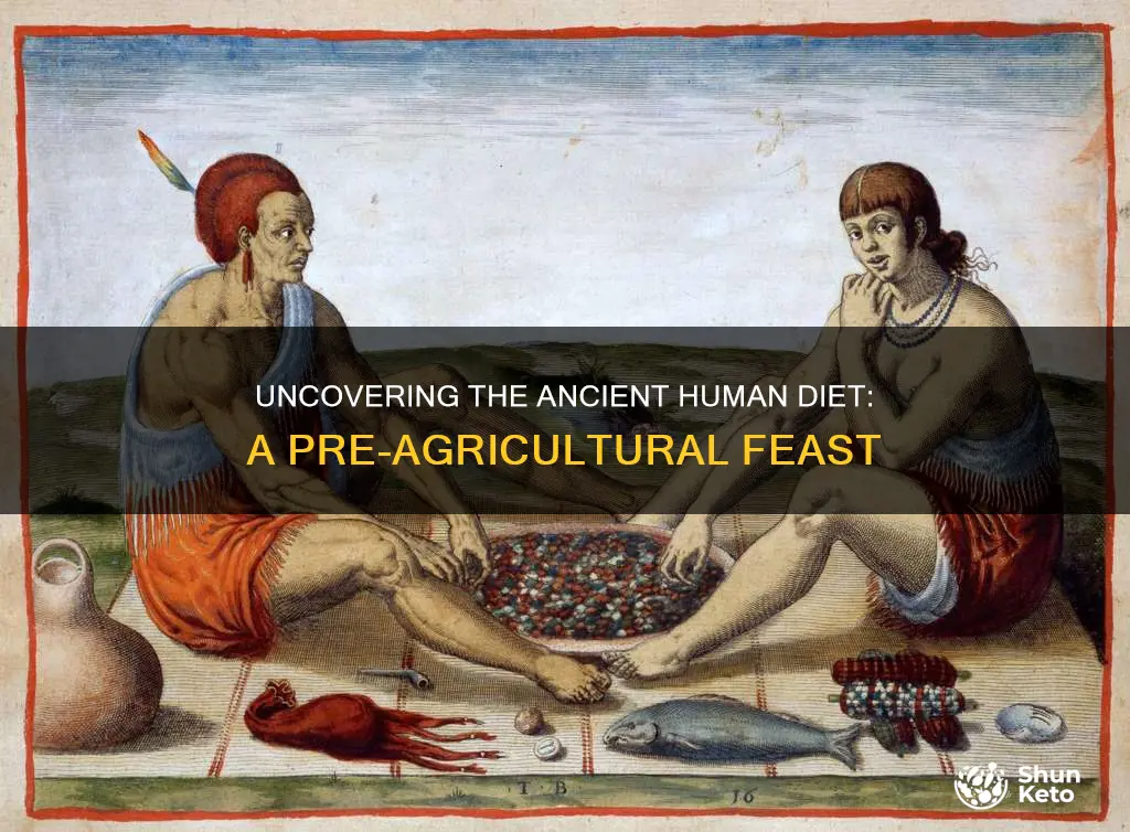 what was the human pre-agricultural diet like