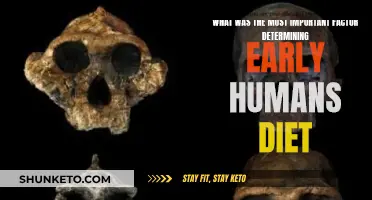 Early Humans' Diet: Determined by a Single Factor