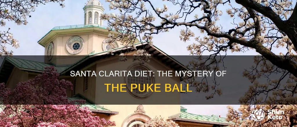 what was the puke ball in santa clarita diet