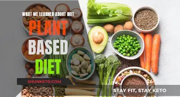 Plant-Based Diets: Our Key Takeaways