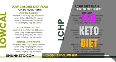 Top Keto Diet Websites: Your Ultimate Guide to Low-Carb Success