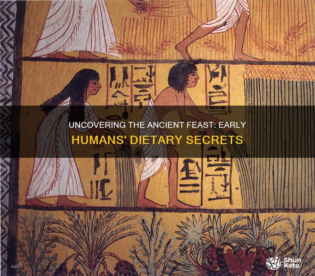 what were early human diets like