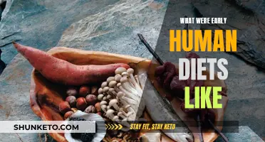 The Evolution of Human Diets: A Historical Perspective