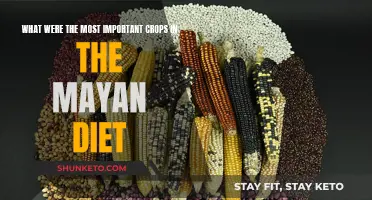 Mayan Diet: Staple Crops and Their Significance