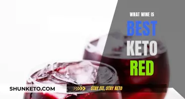 Keto-Friendly Reds: Best Wines for Your Low-Carb Diet