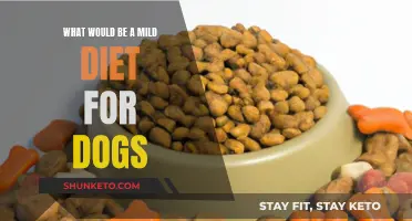 A Balanced Diet for Dogs: What's Mild and Healthy?