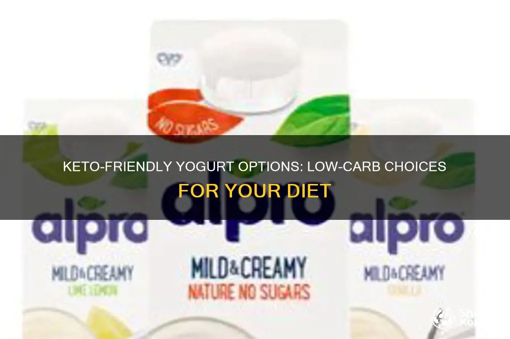 what yoghurt can you have on keto