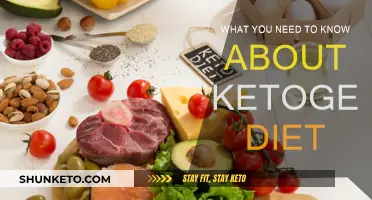 Ketogenic Diet: What You Need to Know