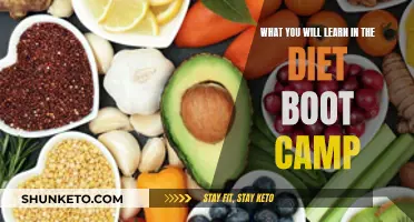 Unleash Your Healthy Potential: Diet Boot Camp Secrets Revealed