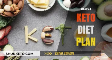 Understanding the Keto Diet Plan: A Comprehensive Guide to Low-Carb Eating