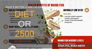 Calorie Counting: 3000 vs 2500 Diet Plans Compared