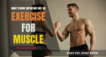 Building Muscle: Diet vs. Exercise — What's More Important?