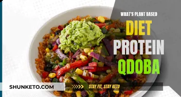 Plant-Based Diet: Qdoba's Protein Options Explored