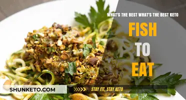 Best Keto Fish Options for Your Diet