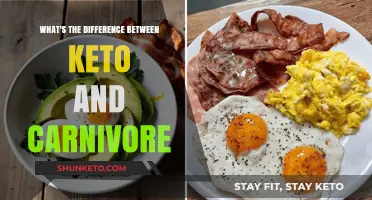 Keto vs. Carnivore: Key Differences in Low-Carb Diets Explained
