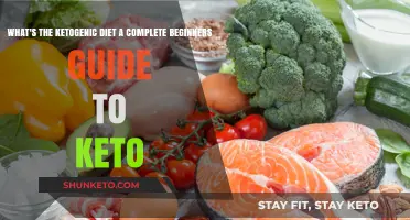 Ketogenic Diet Explained: A Beginner's Guide to Starting Keto