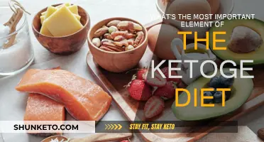 Ketogenic Diet: The Core Element for Success