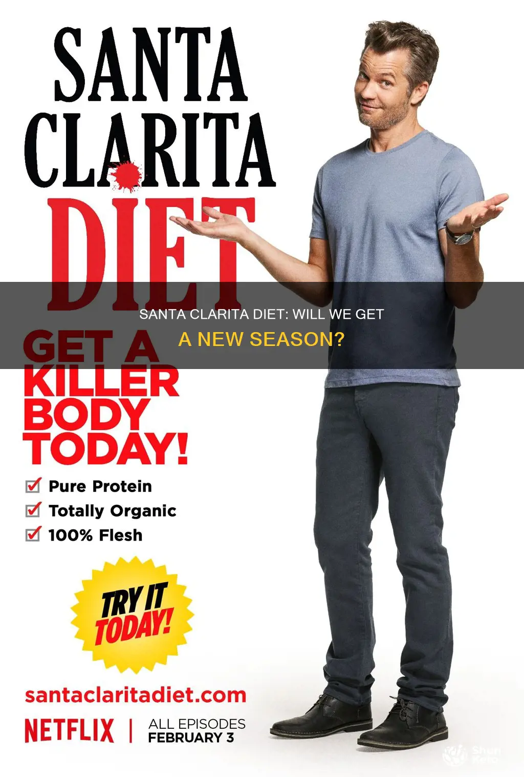 when are they going to make more santa clarita diet