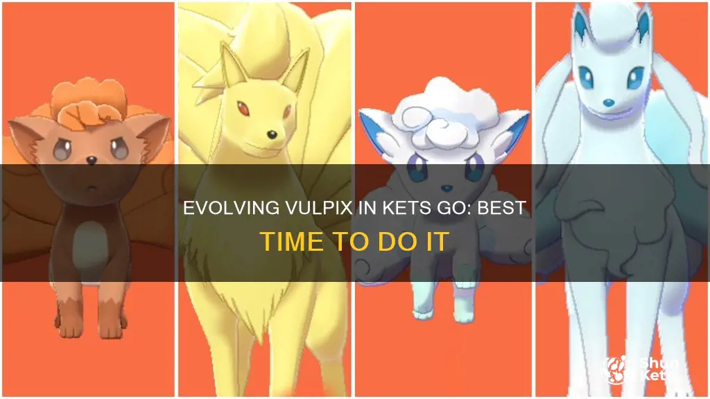 when best to evolve vulpix kets go