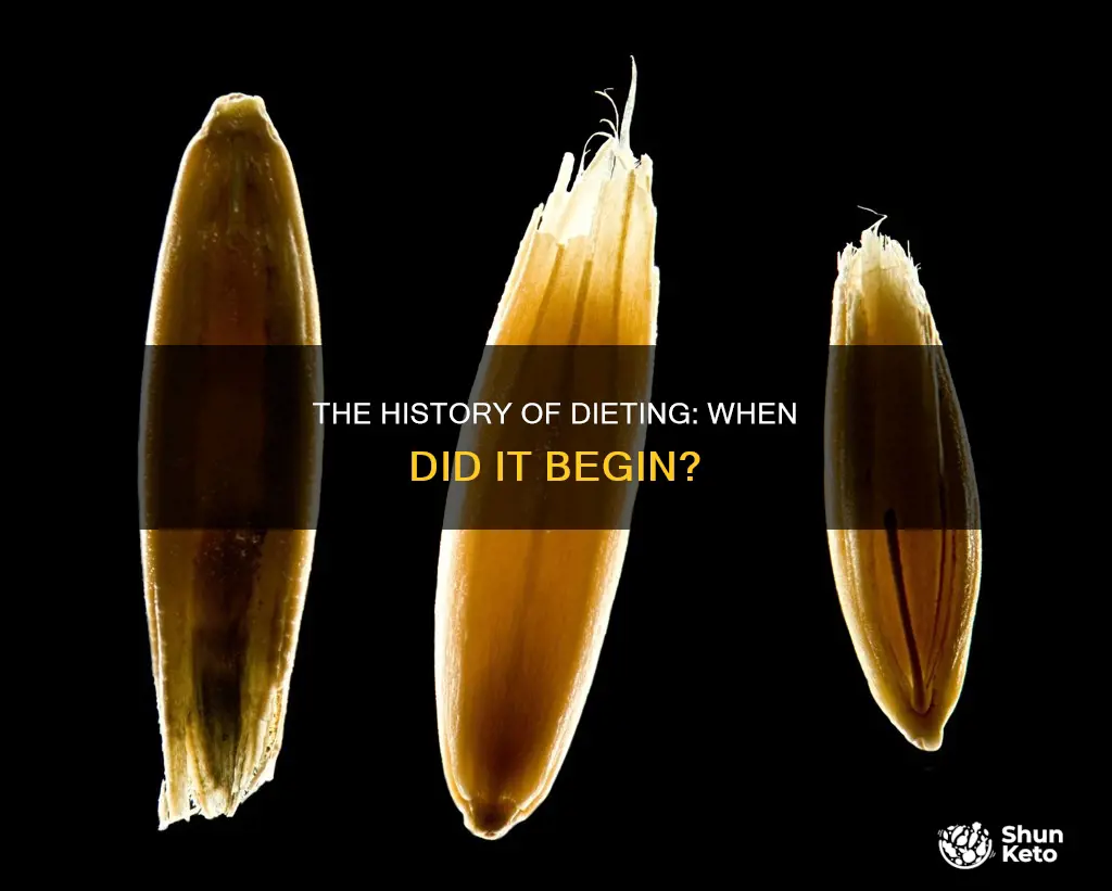 when did dieting first start