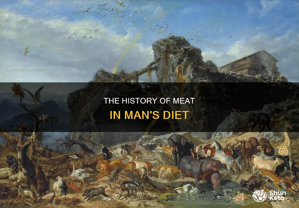 when did god add meat to man