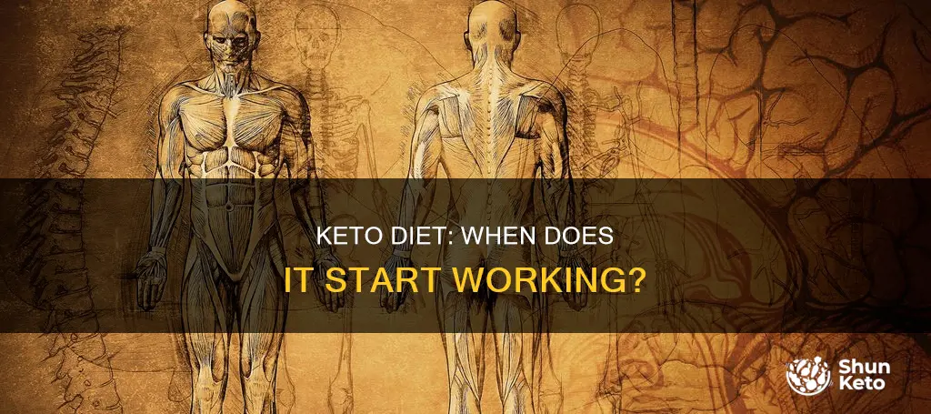 when did keto diet begun to work