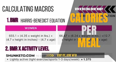 Calorie Counting: How to Distribute Your Daily Intake