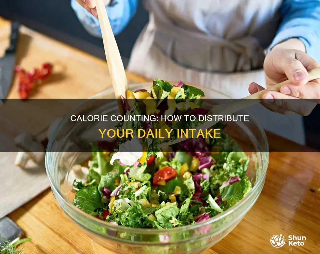when dieting how many calories per meal