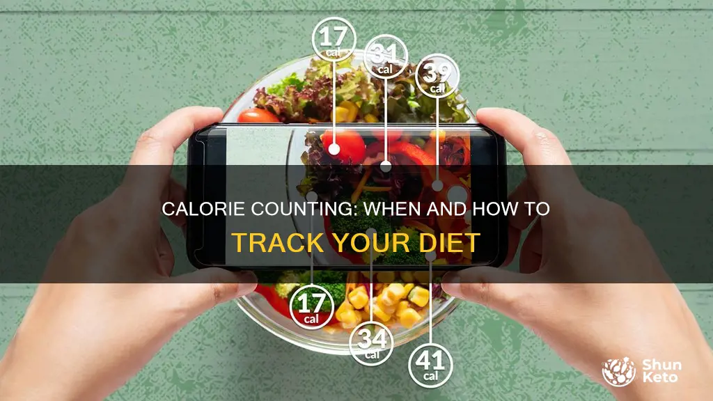 when dieting should you count your calories