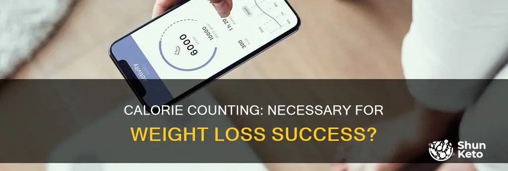 when dieting should you count your calories