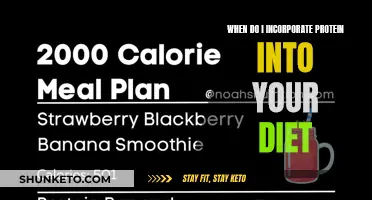 Protein Power: Timing Your Diet for Maximum Results