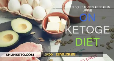 Ketogenic Diet: When to Expect Ketones in Urine