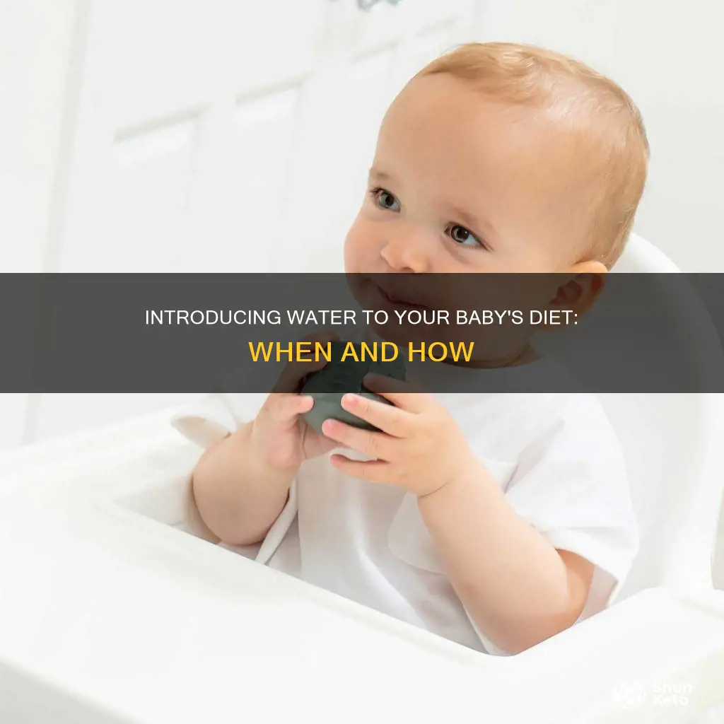 when do you add water to a baby