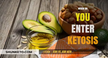 Understanding Ketosis: When Does Your Body Enter Fat-Burning Mode?