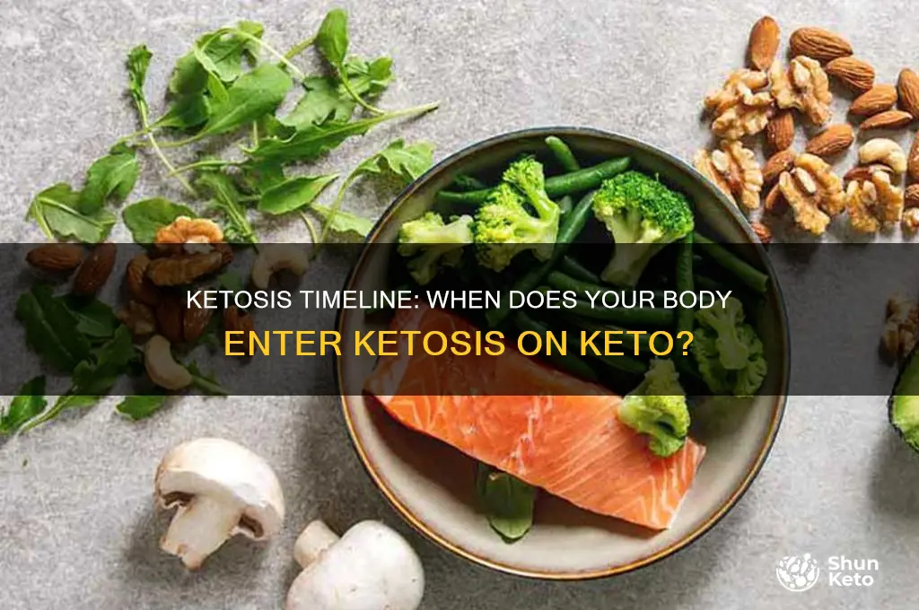 when do you go into ketosis on keto diet