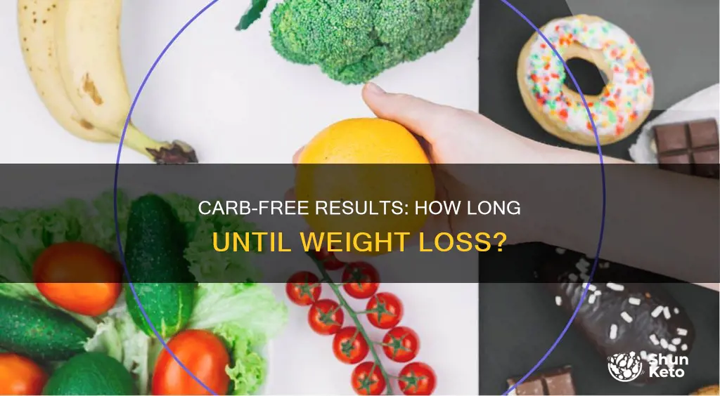 when do you see results from no carb diet