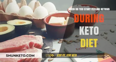 When Does Ketosis Begin on a Keto Diet?