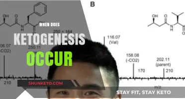 Understanding Ketogenesis: When and How Your Body Enters Fat-Burning Mode