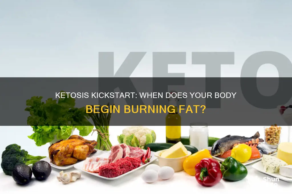 when does ketosis begin