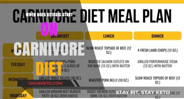 Carnivore Diet: When Does Ketosis Start?