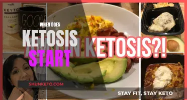 Ketosis: When Does This State Begin?